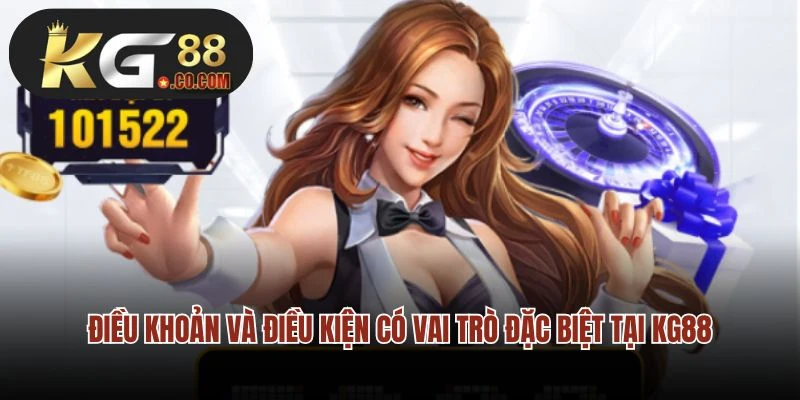 Điều khoản và điều kiện có vai trò đặc biệt tại KG88